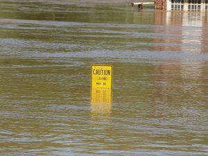 What to Do If You Have a Flood